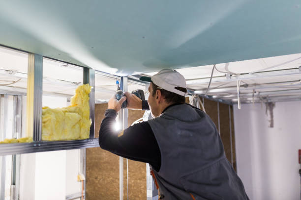 Types of Insulation We Offer in Montz, LA