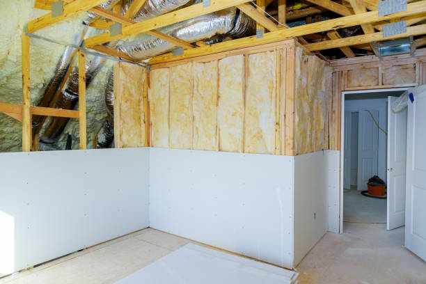 Best Specialized Insulation Services in Montz, LA