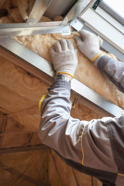 Best Insulation Maintenance and Repair in Montz, LA